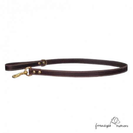 Correa de Paseo Piel Latón