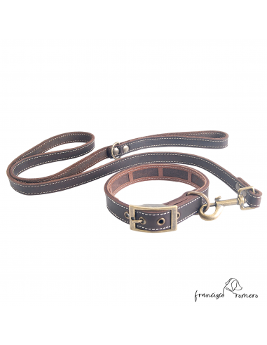 Collar Piel Engrasada Antiparasitario...