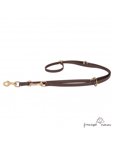 Correa adiestramiento multiposicional...