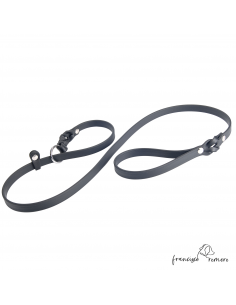 Correa con Collar corrector...