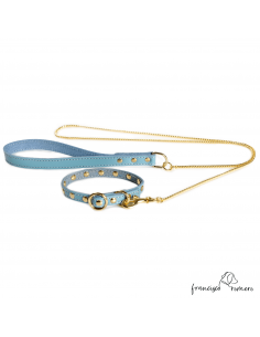 Conjunto Collar y Correa...