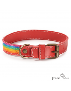 Collar Piel Arco Iris Rojo