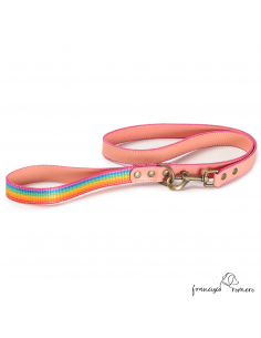 Correa Piel Arco Iris Rosa