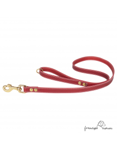 Correa Paseo piel...