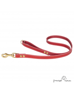 Correa Paseo piel...