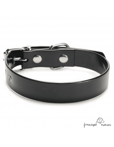 Collar Biothane Gold Ancho 2,5 cm...