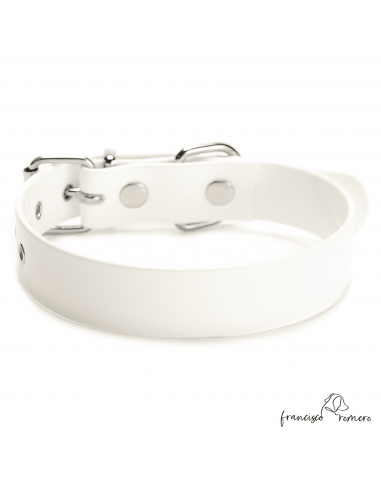 Collar Biothane Gold Ancho 2,5 cm...