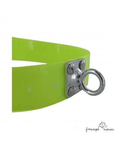 Collar Biothane Gold Ancho 3,8 cm -...