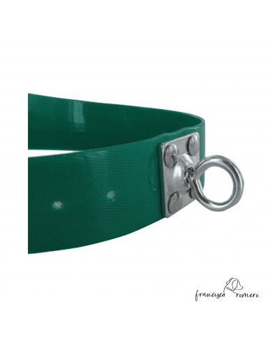 Collar Biothane Gold Ancho 3,8 cm -...