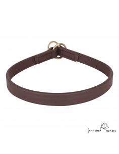 Collar adiestramiento...