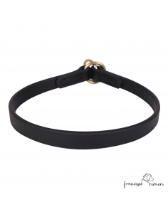 Collar adiestramiento...