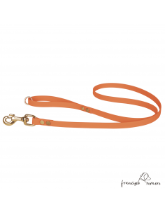 Correa De Paseo Biothane...