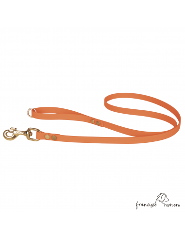 Correa De Paseo Biothane Beta...