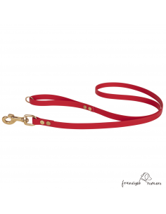 Correa De Paseo Biothane...