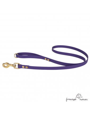 Correa De Paseo Biothane Beta...