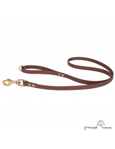 Correa De Paseo Biothane...