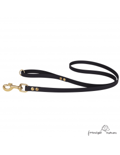 Correa De Paseo Biothane...