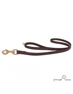 Correa paseo con anilla en...