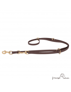 Correa adiestramiento...