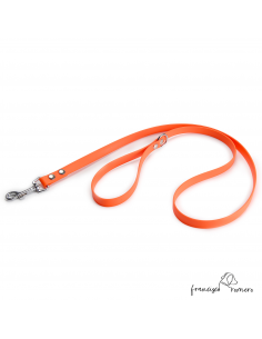 Traílla para perros de...