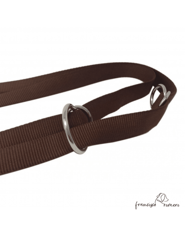 Correa adiestramiento multiposición...