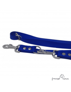 Correa adiestramiento...