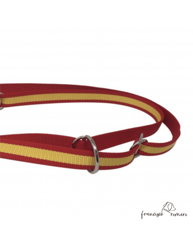 Correa adiestramiento multiposición...