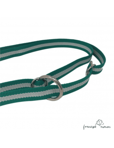 Correa adiestramiento multiposición...