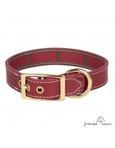 Collar Piel Funda...