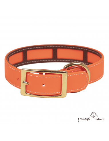 Collar Biothane Beta Funda...