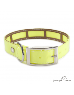 Collar Biothane Gold Funda...