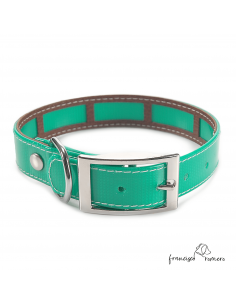 Collar Biothane Gold Funda...