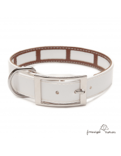 Collar Biothane Gold Funda...