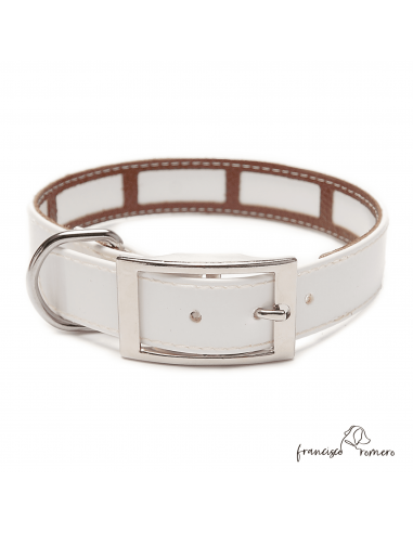 Collar Biothane Gold Funda...