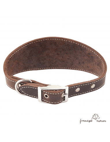 Collar para Galgo sin forro interior...