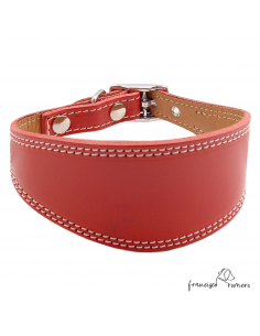 Collar para Galgo Liso...