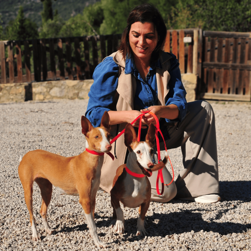 Correas de Poliuretano